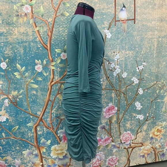 Sundance Eternal Compliments Ruched Bodycon Dress - Picture 3 of 9